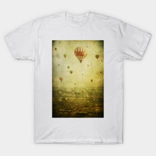 Migration T-Shirt